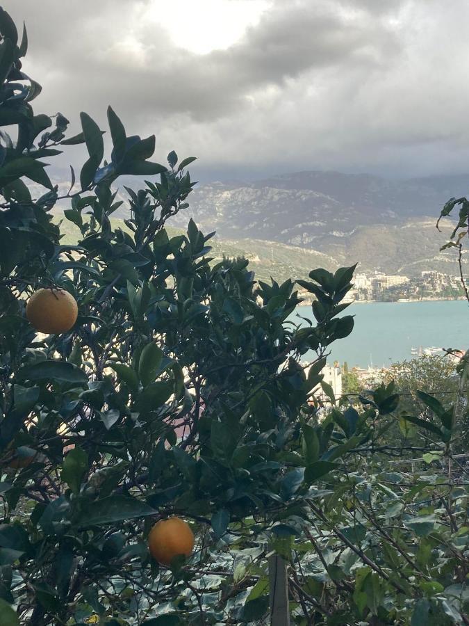 Guest House Garden Budva Dış mekan fotoğraf